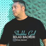 دانلود آهنگ میلاد باکری شاخه گل